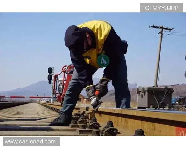 成都滑板队速度表现数据分析揭示训练效果与技术提升的关系